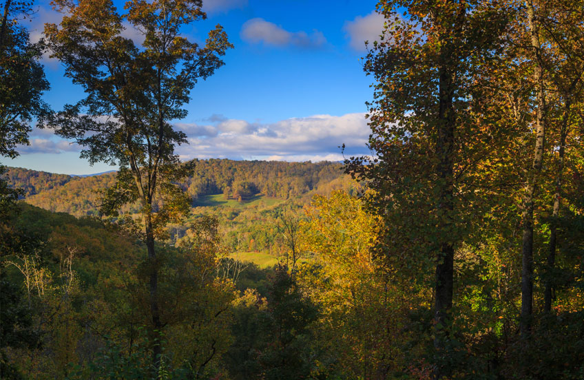 Asheville NC Real Estate
